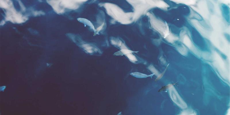 燕泉啤酒与地方菜系搭配指南:解锁精酿啤酒与中国美食的风味密码