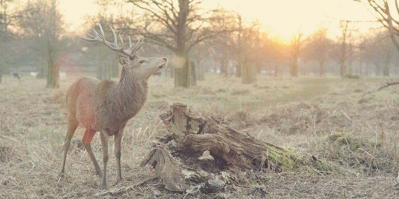 燕泉啤酒社群营销密码:从流量到“留量”,构建品牌与精酿爱好者的深度连接