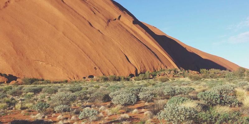 精酿浪潮下的破局者:燕泉啤酒新品研发趋势与市场定位深度解析